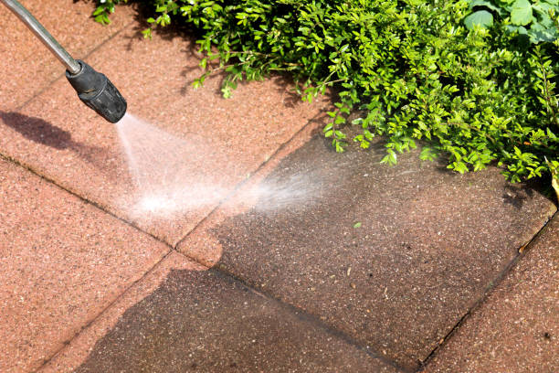 Best Roof Power Washing Services  in Marion Oaks, FL